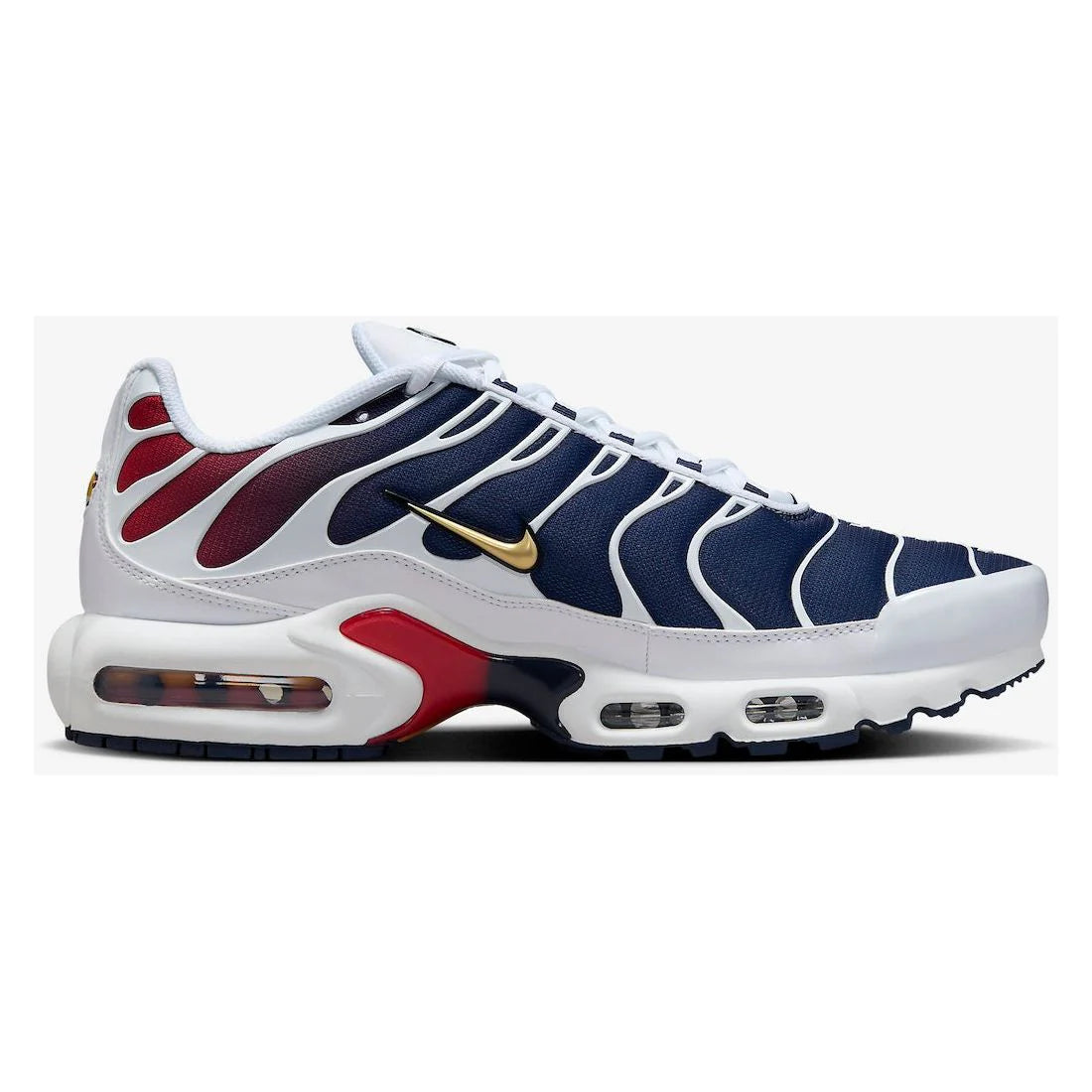 Nike Air Max Plus TN1 x Paris Saint Germain