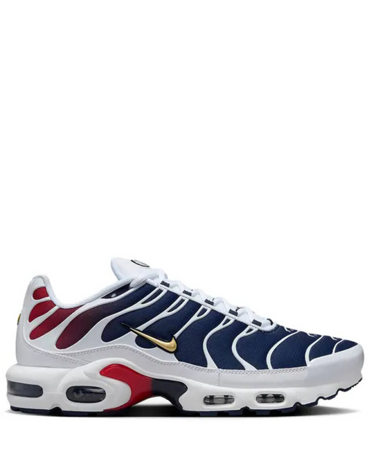 Nike Air Max Plus TN1 x Paris Saint Germain