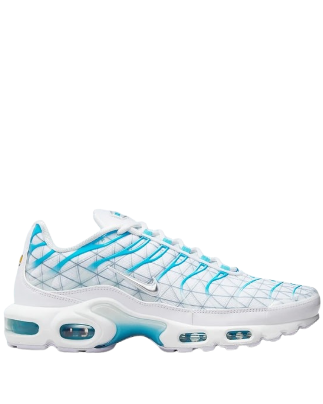 Nike Air Max Plus TN1 “Marseille”